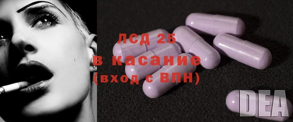 хмурый Бикин