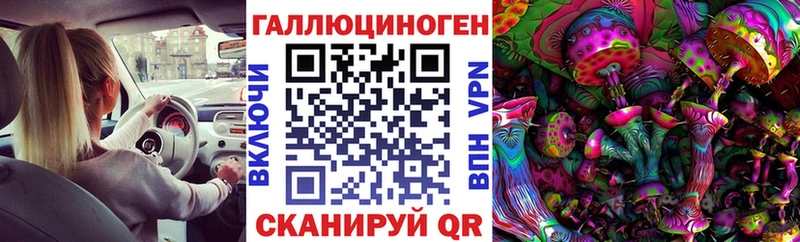 Псилоцибиновые грибы GOLDEN TEACHER  купить наркотик  Закаменск 